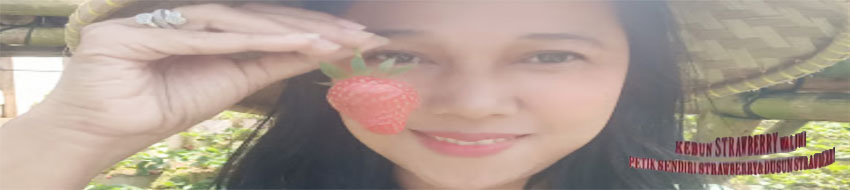 villa santung dusun strawberry walini